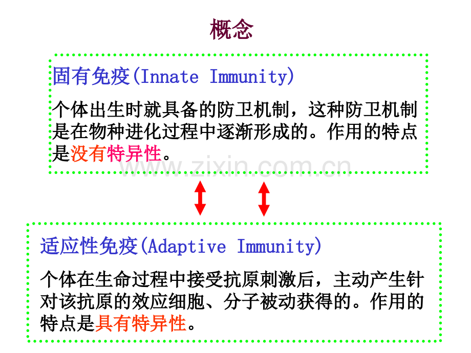 固有免疫应答.pptx_第2页