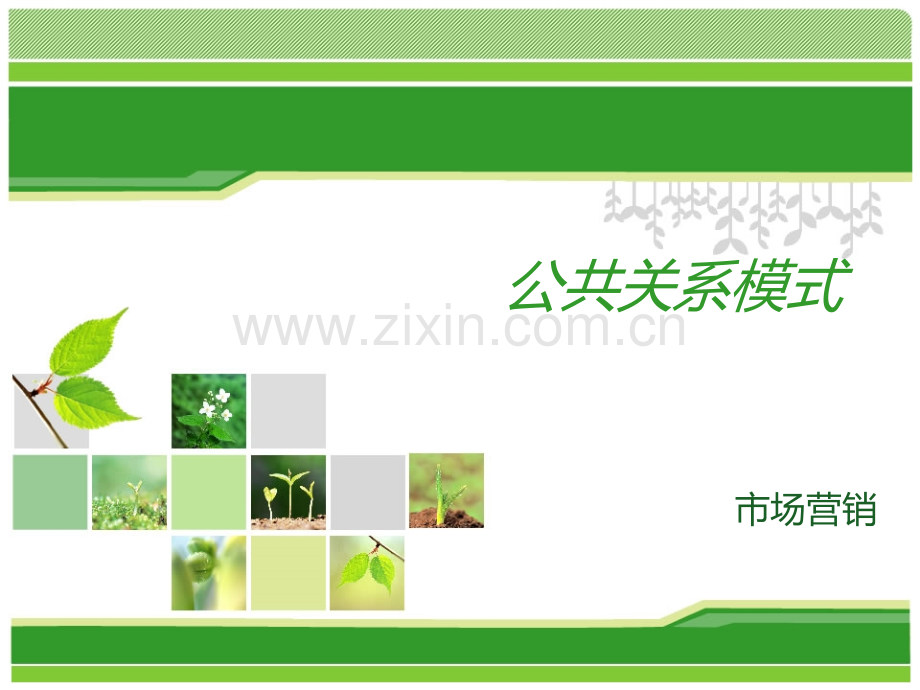 建设型和维系型公共关系模式.pptx_第1页