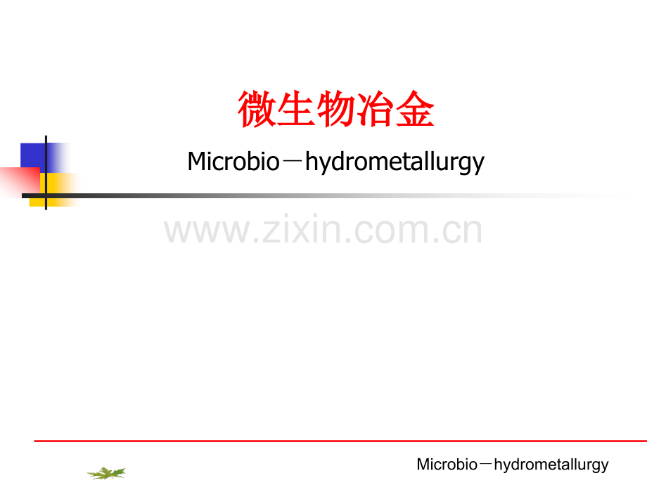 微生物冶金剖析.pptx_第1页