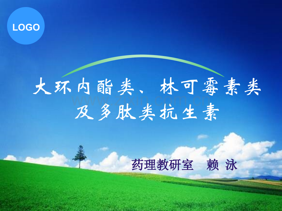 大环内酯类林可霉素多肽类.pptx_第1页