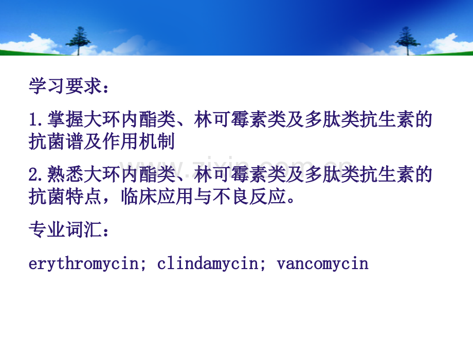 大环内酯类林可霉素多肽类.pptx_第2页