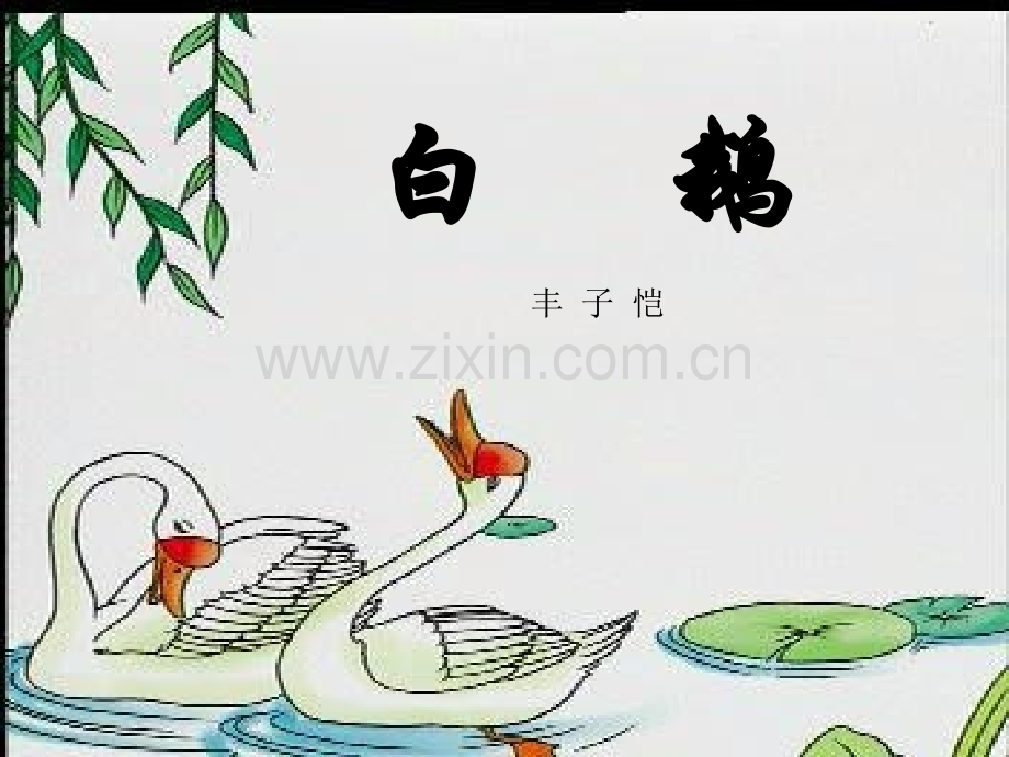 小学语文白鹅课件.pptx_第2页