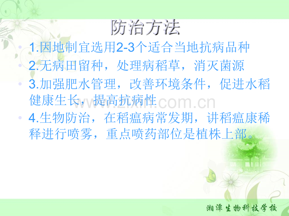 农艺作物病虫草害绿色防控技术.pptx_第2页