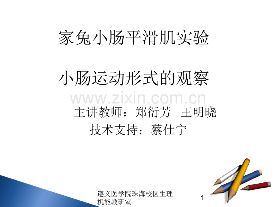 家兔小肠腻滑肌试验小肠运动形式的.pptx_第1页