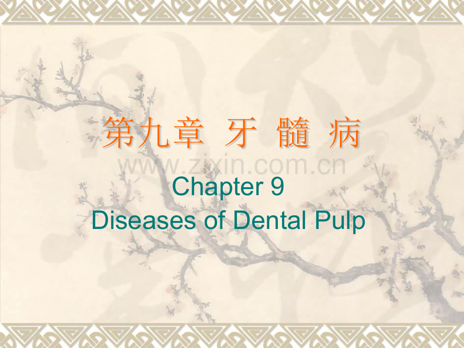 口组牙髓病.pptx_第1页