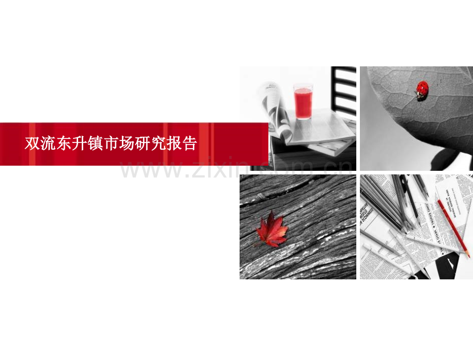 成都双流东升镇市场研究报告.pptx_第1页