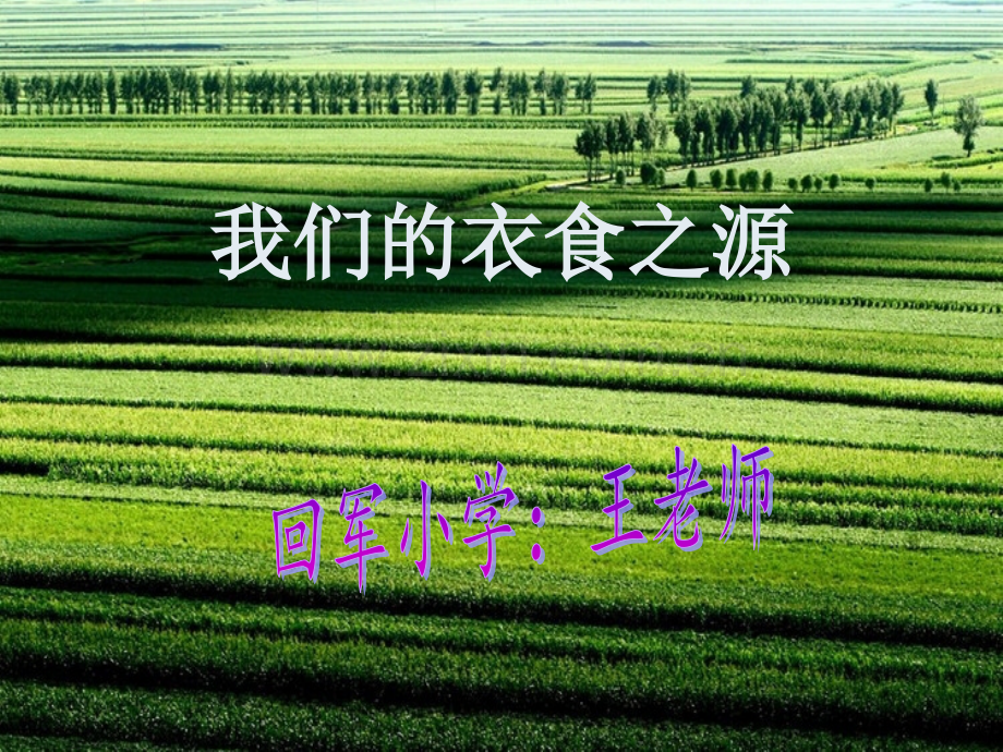 我们的衣食之源课件.pptx_第1页