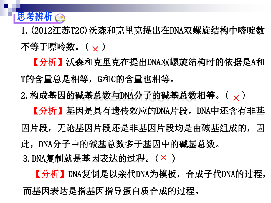 分子结构和复制及基因的本质.pptx_第2页