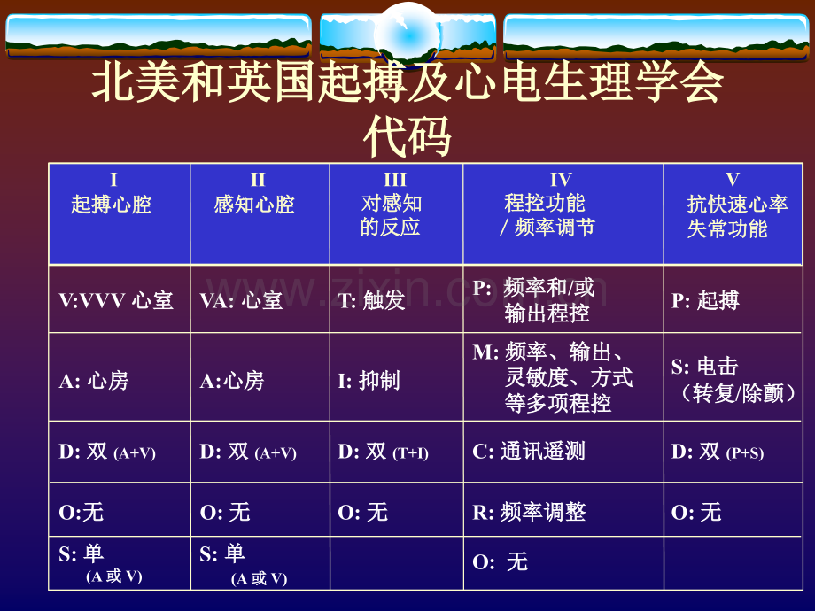 单腔起搏器的相关技术与临床心电图表现.pptx_第2页