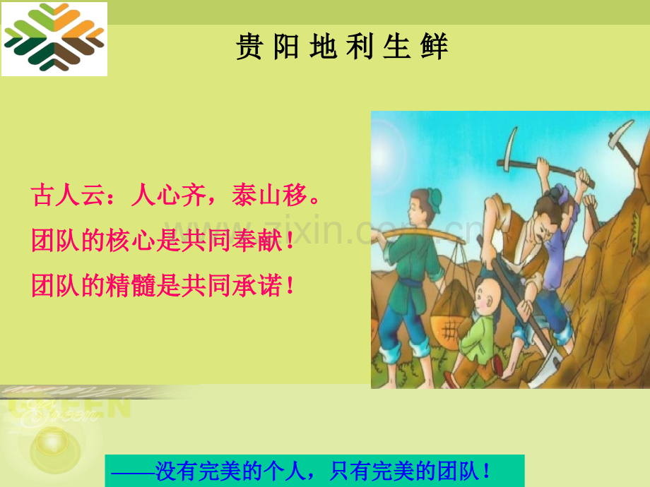 团队建设指南selina分析.pptx_第2页