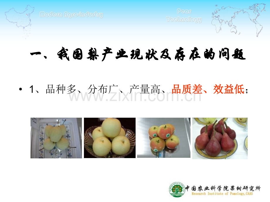 我国梨产业现状及贮运保鲜新技术.pptx_第2页