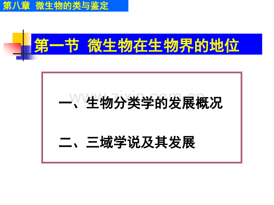 微生物的分类与鉴定修改.pptx_第2页