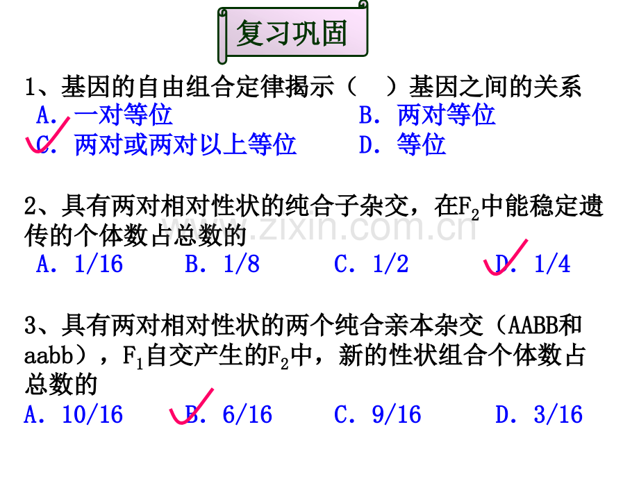 孟德尔自由组合定律二精美.pptx_第2页