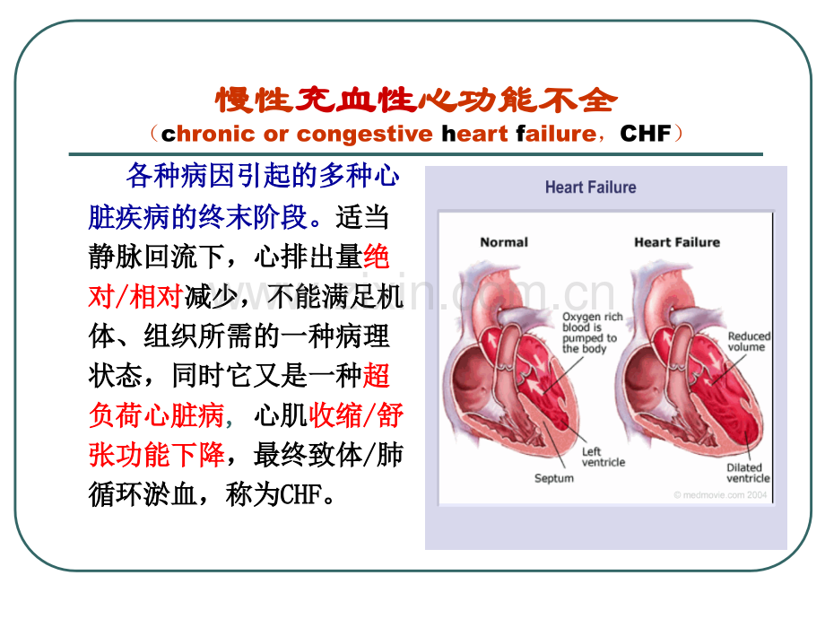 抗慢性心衰.pptx_第2页