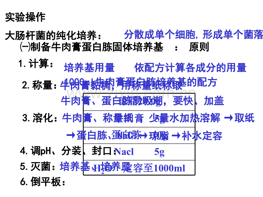 微生物的实验室培养版.pptx_第2页