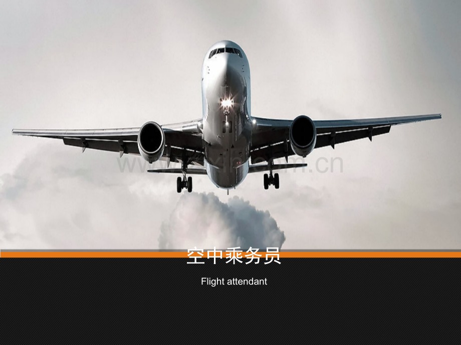 国内四大航空公司.pptx_第1页