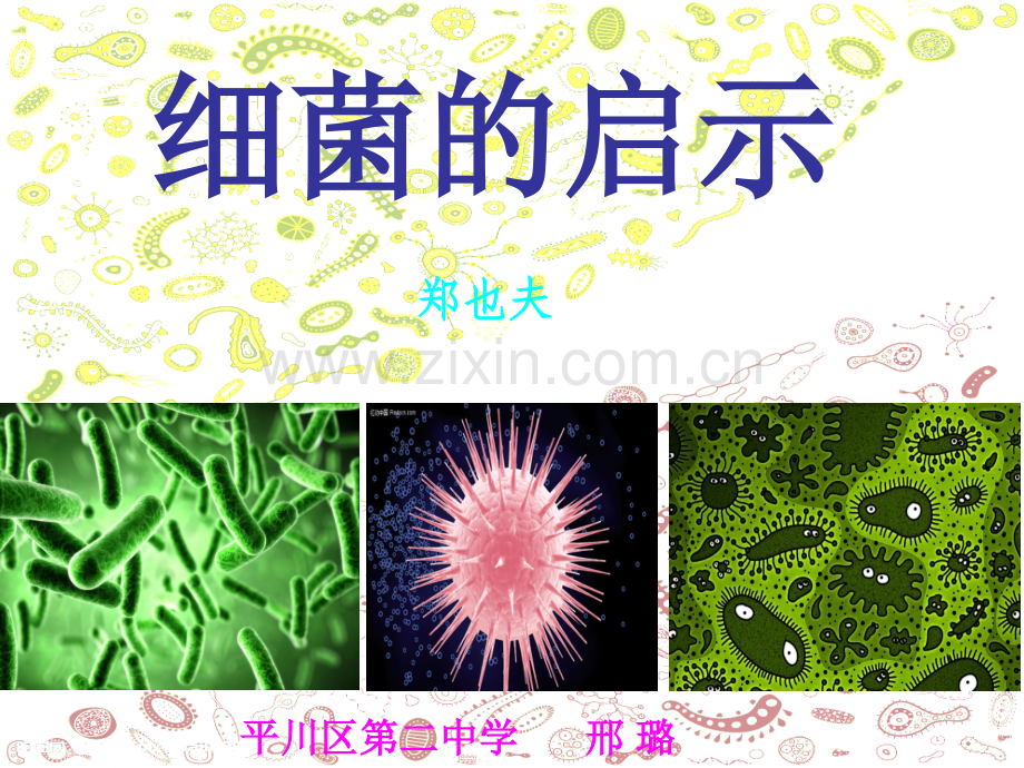 八细菌的启示.pptx_第1页