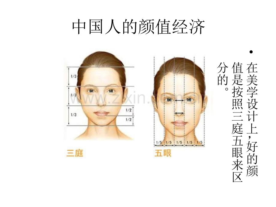张龙院长个人简介.pptx_第1页