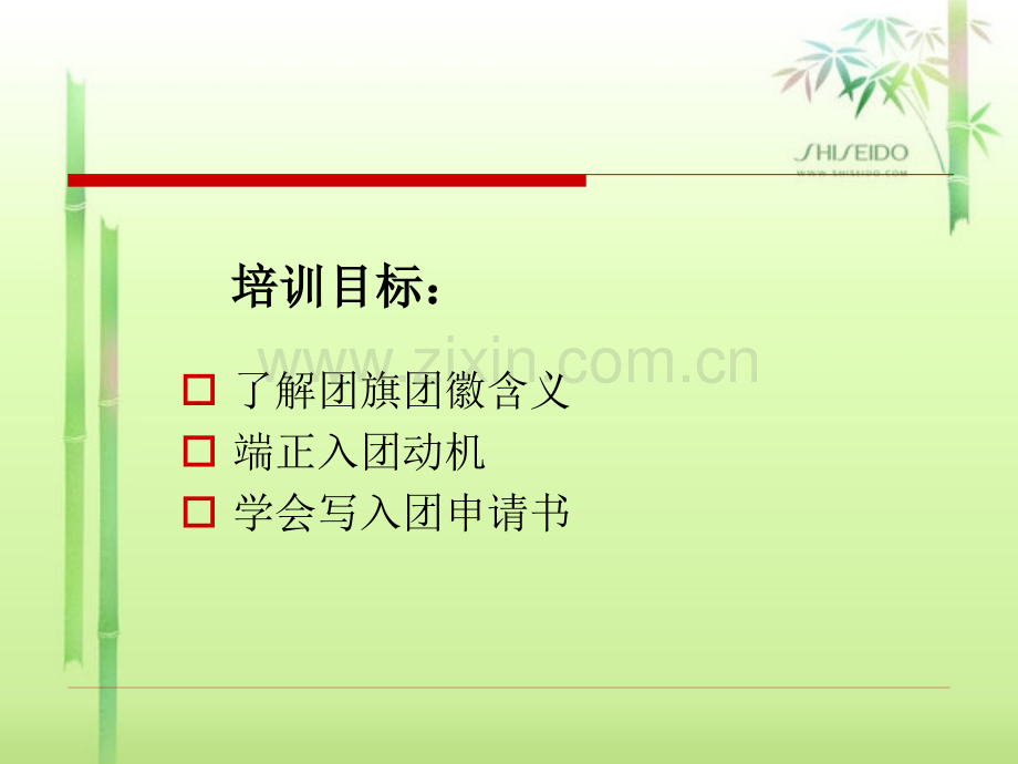怎样写入团申请书.pptx_第2页