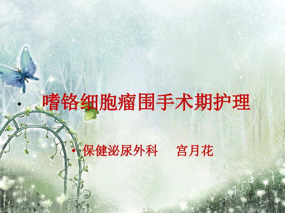 嗜铬细胞1瘤.pptx_第1页