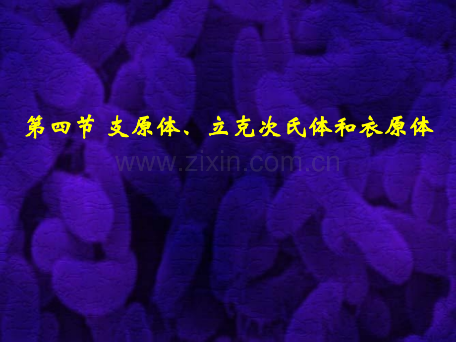 微生物学教程三体.pptx_第1页