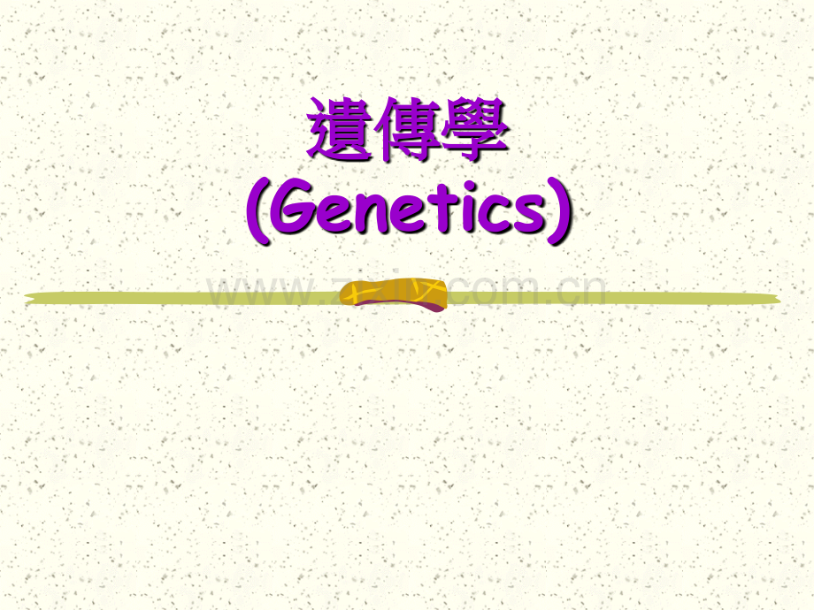 孟德尔的单基因杂交遗传.pptx_第1页