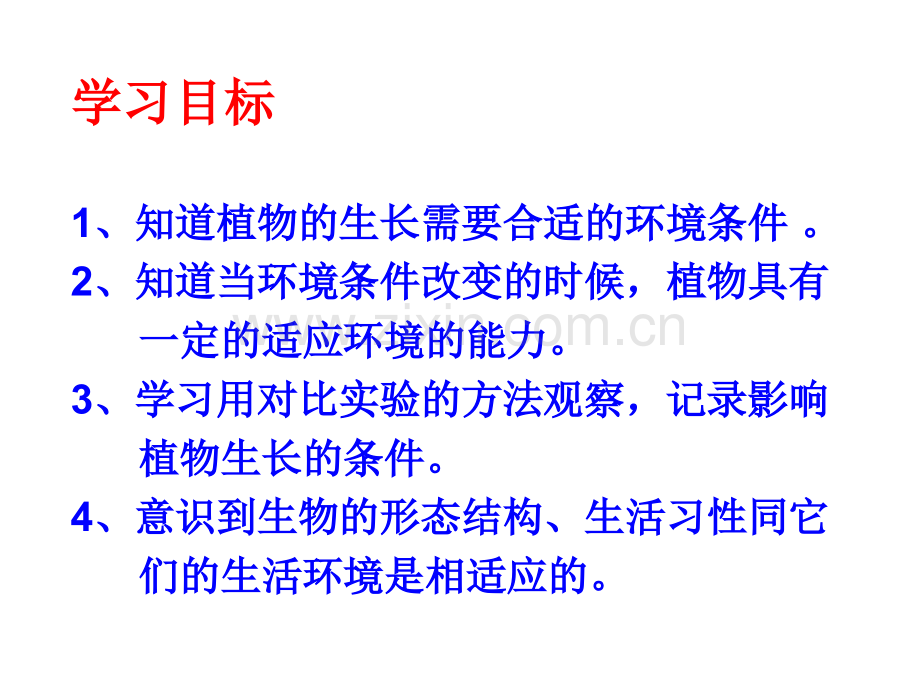 教科版科学观察绿豆芽的生长.pptx_第2页