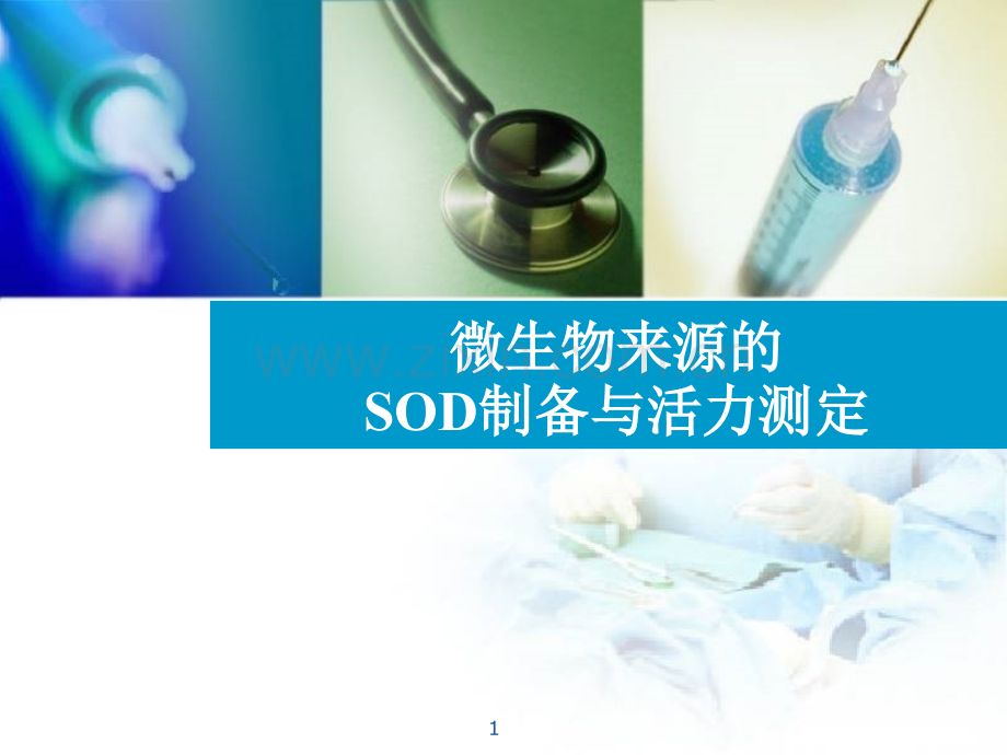 微生物来源的SOD提取分离纯化工艺.pptx_第1页
