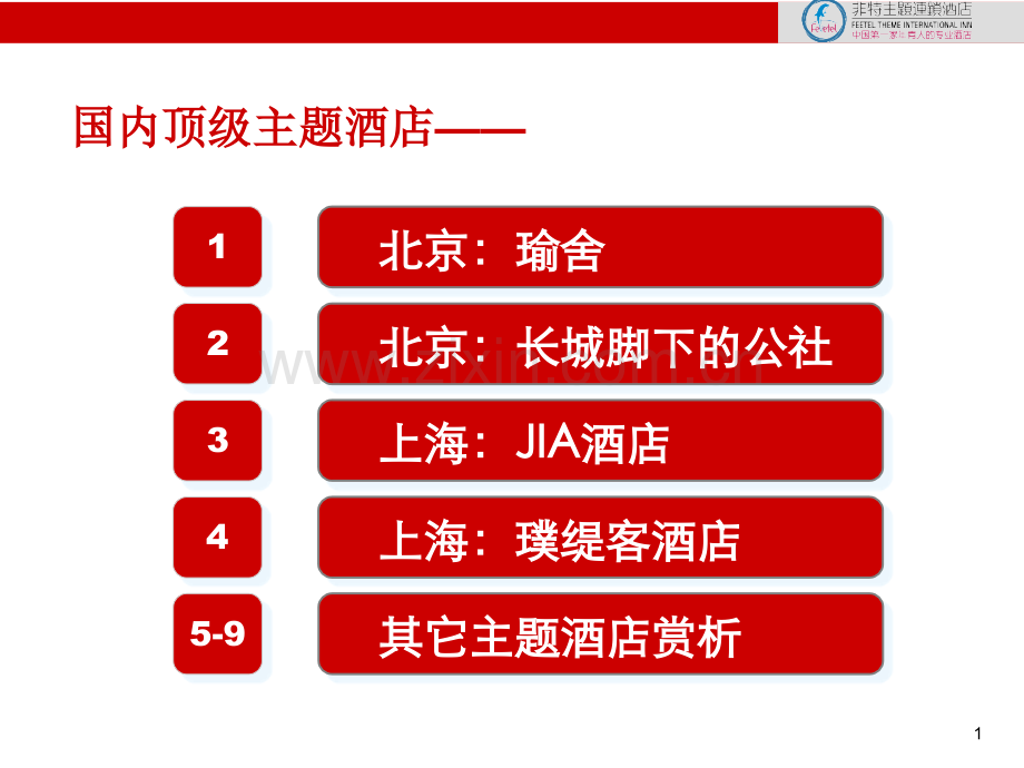 国内主题酒店分享.pptx_第1页