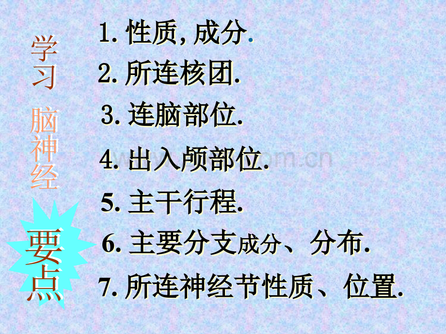 快速掌握十二对颅神经解剖.pptx_第2页