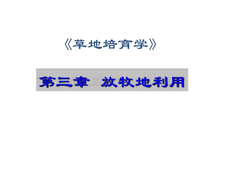 放牧地利用.pptx_第1页