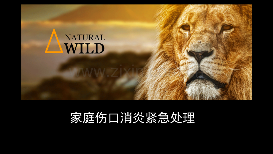 家庭意外伤口紧急消毒处理解析.pptx_第1页