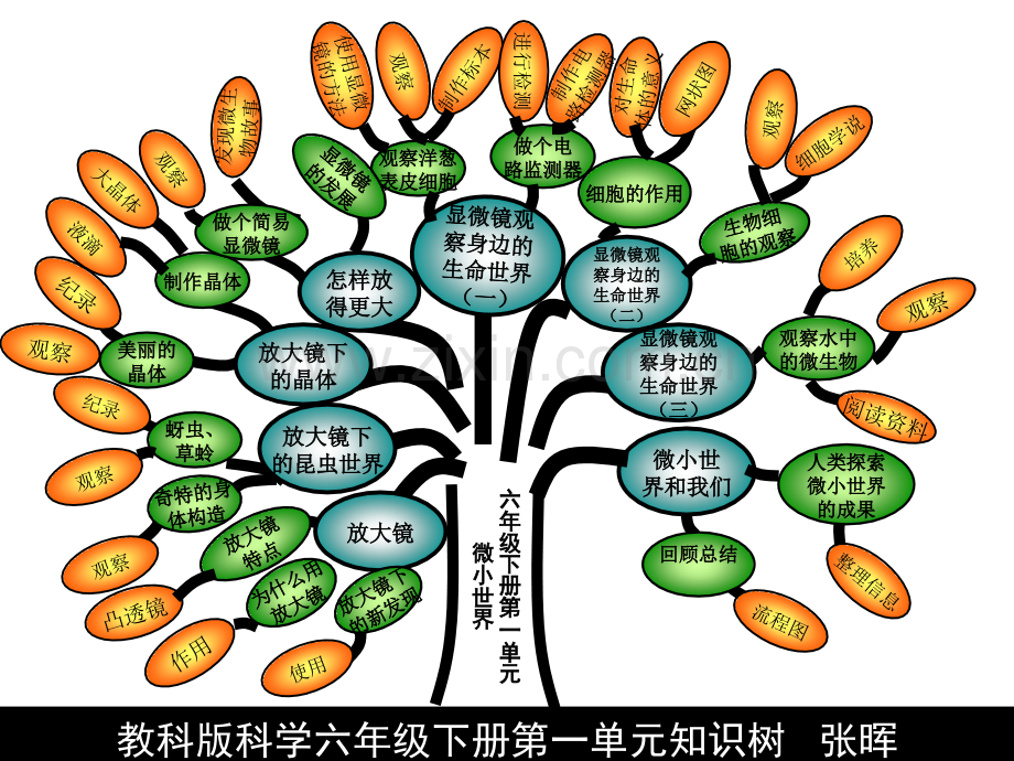 六年级下册张晖.pptx_第1页