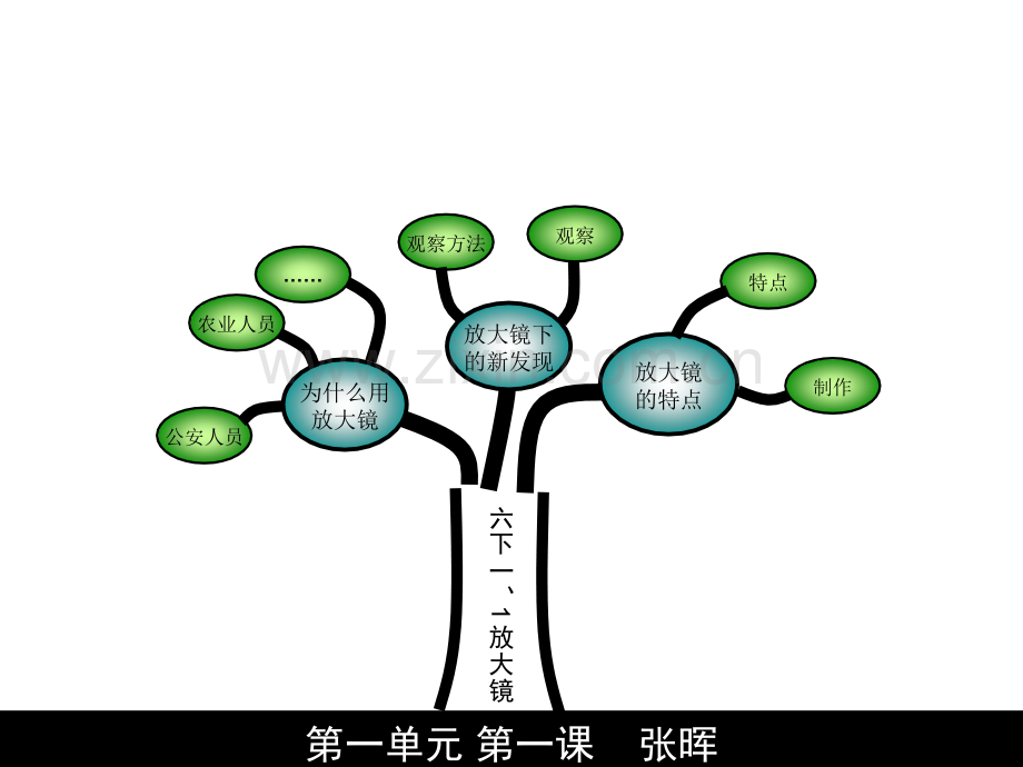 六年级下册张晖.pptx_第2页