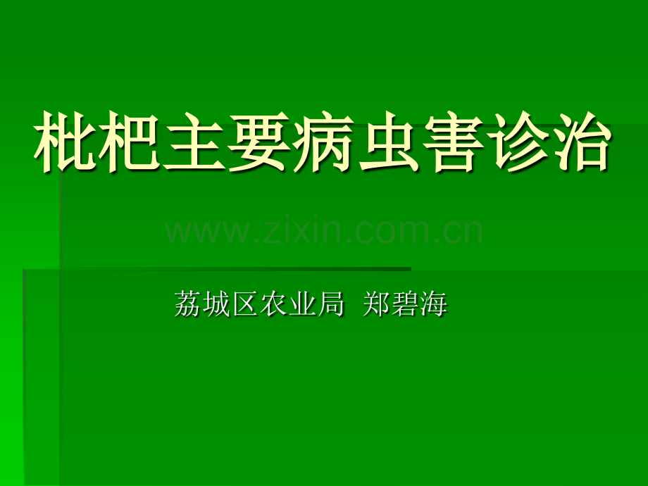 枇杷主要病虫害诊治概论.pptx_第1页