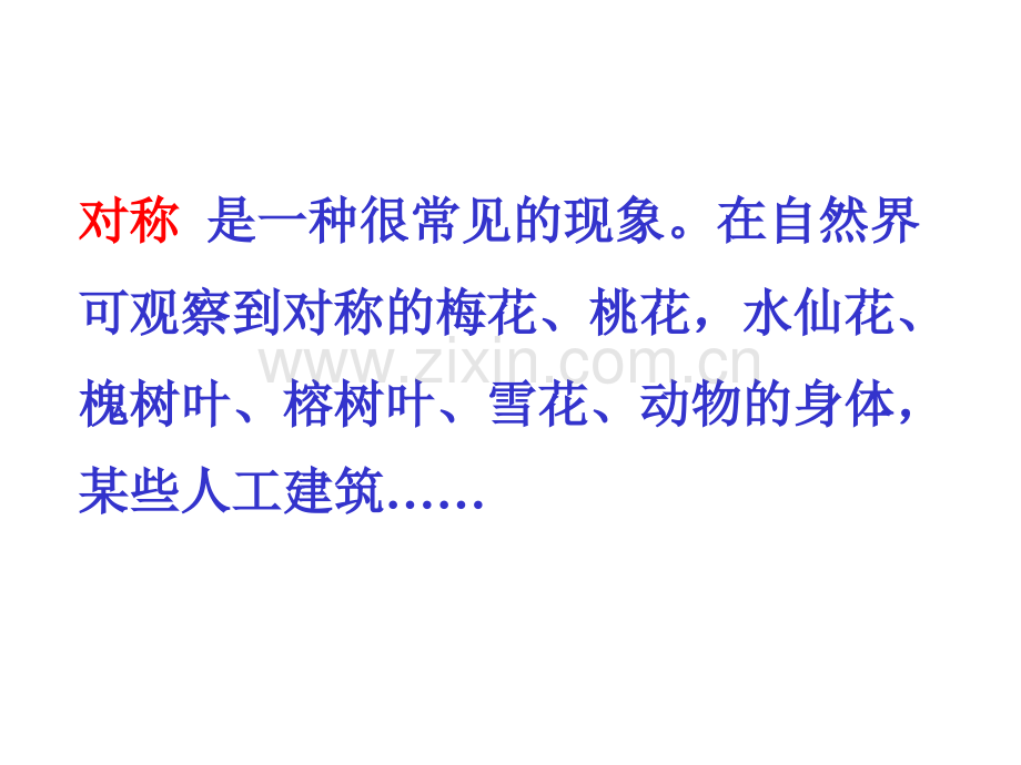 分子的对称性结构化学.pptx_第2页