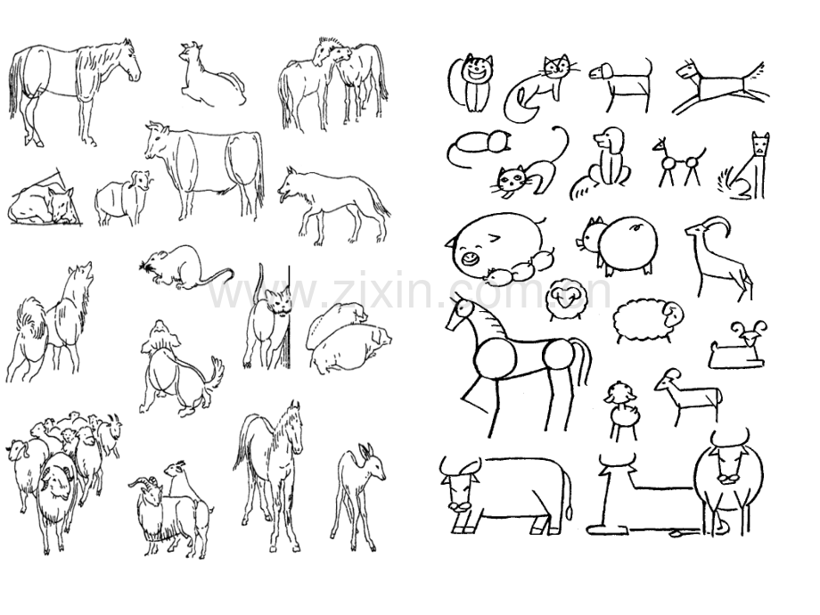 动物简笔画演示.pptx_第1页