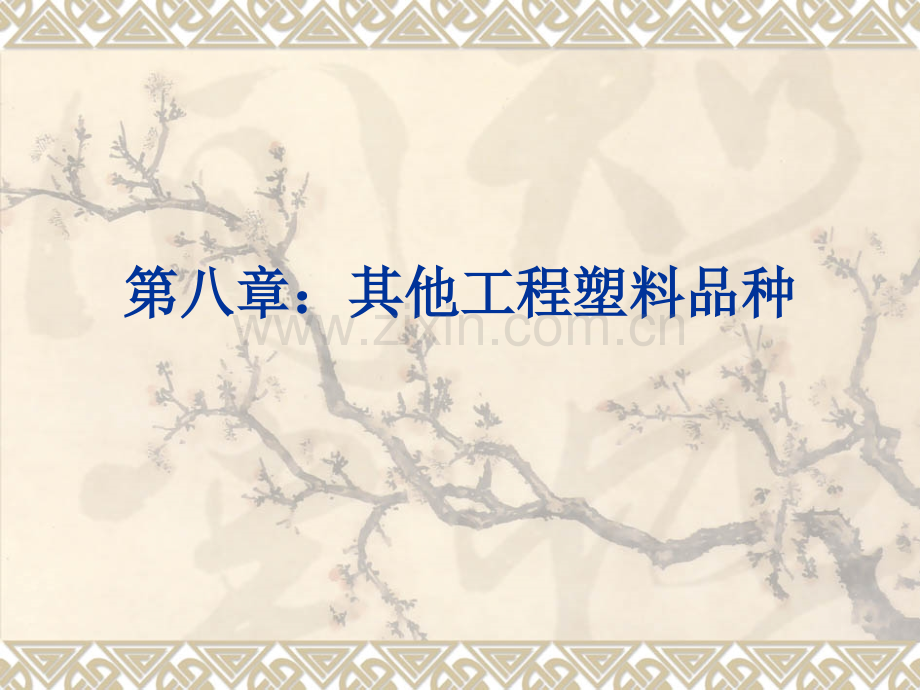 其它工程塑料.pptx_第1页