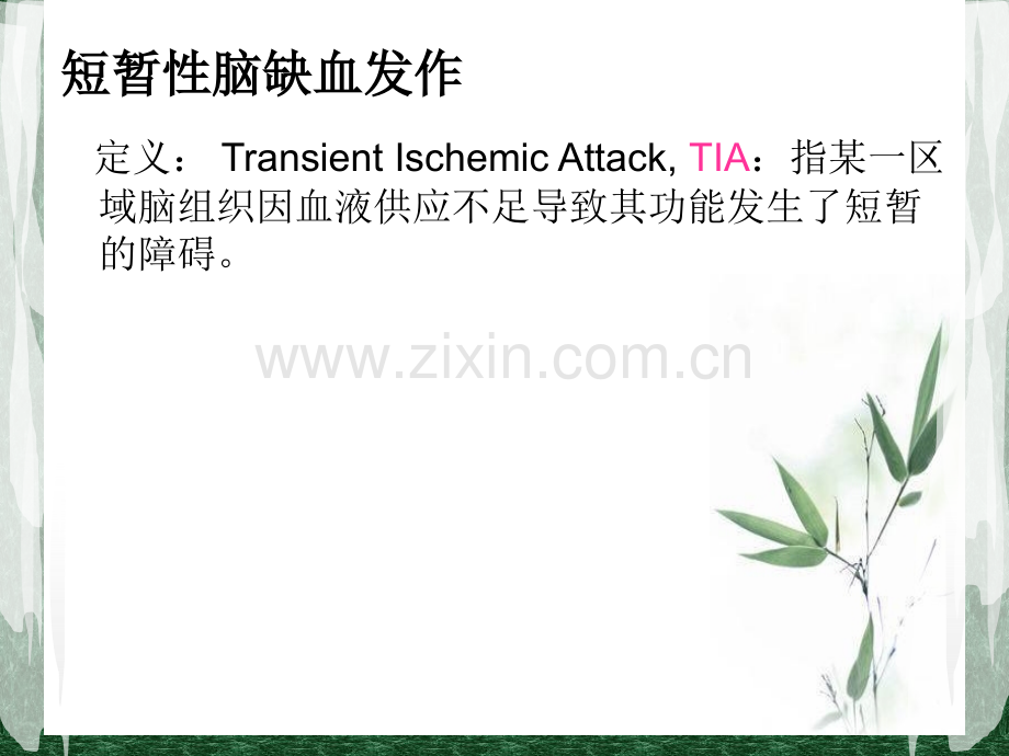 常见脑血管疾病及药物治疗.pptx_第2页