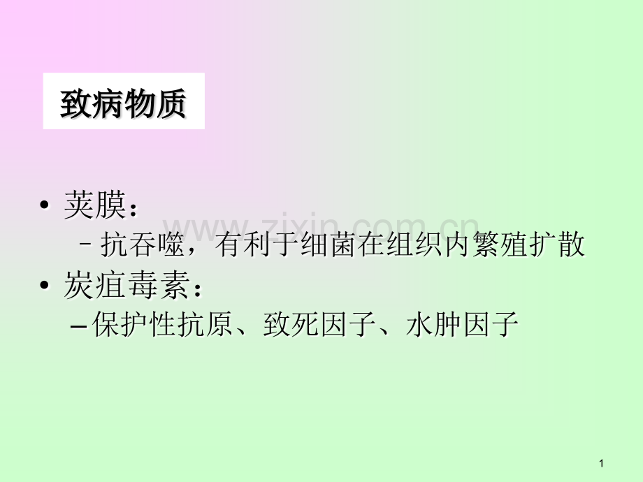 微生物检验G需氧杆菌.pptx_第1页