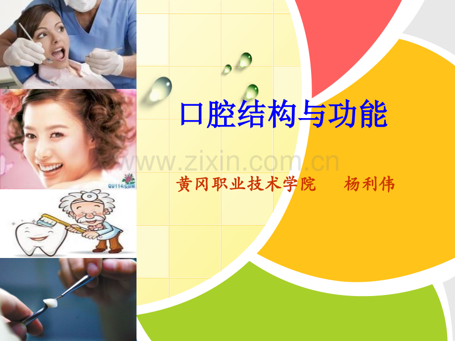 口腔解剖生理学——牙的一般知识.pptx_第1页
