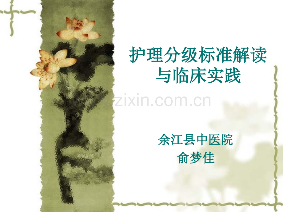 护理分级标准解读与临床实践.pptx_第1页