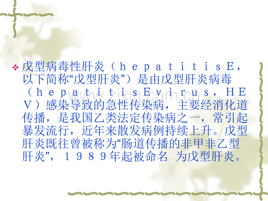 戊型病毒性肝炎诊疗规范.pptx_第2页