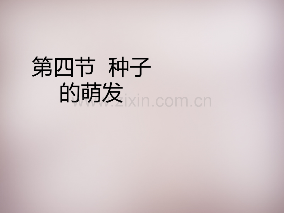 八年级生物上册种子萌发新版济南版000001.pptx_第1页