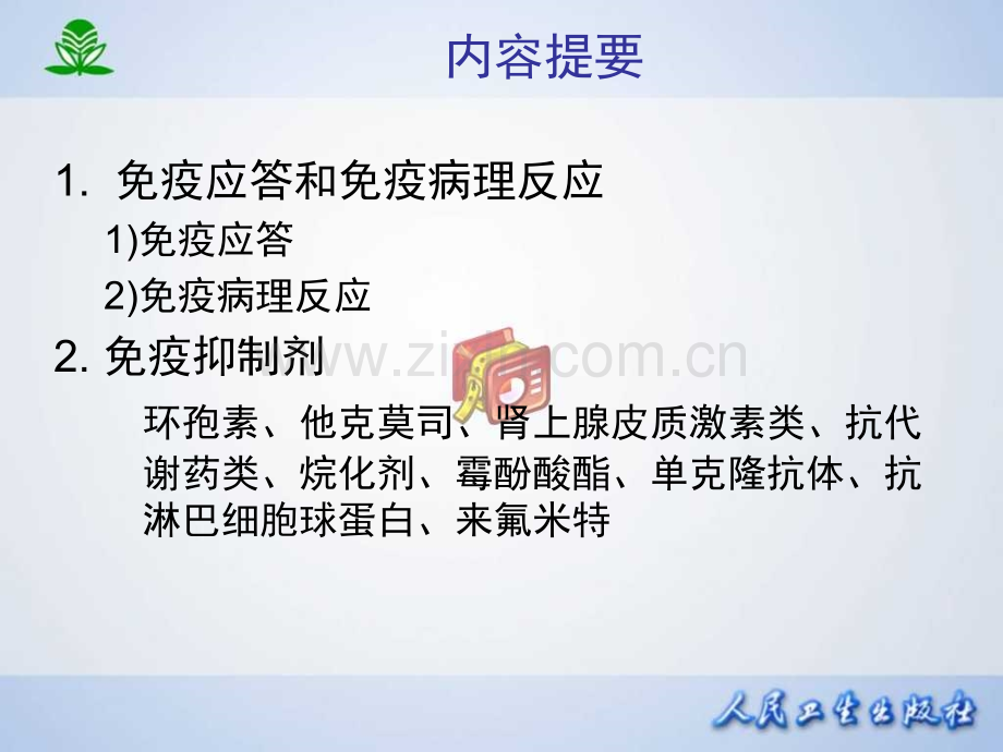 常见疾病治疗药物介绍——-影响免疫功能的药物.pptx_第2页