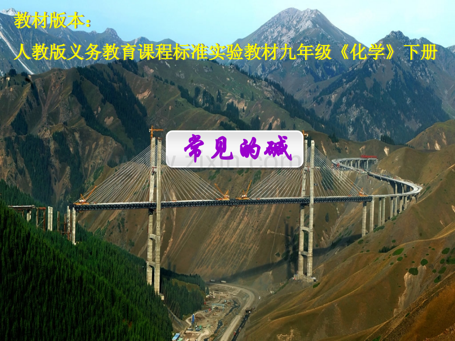 常见的碱说课课件.pptx_第1页