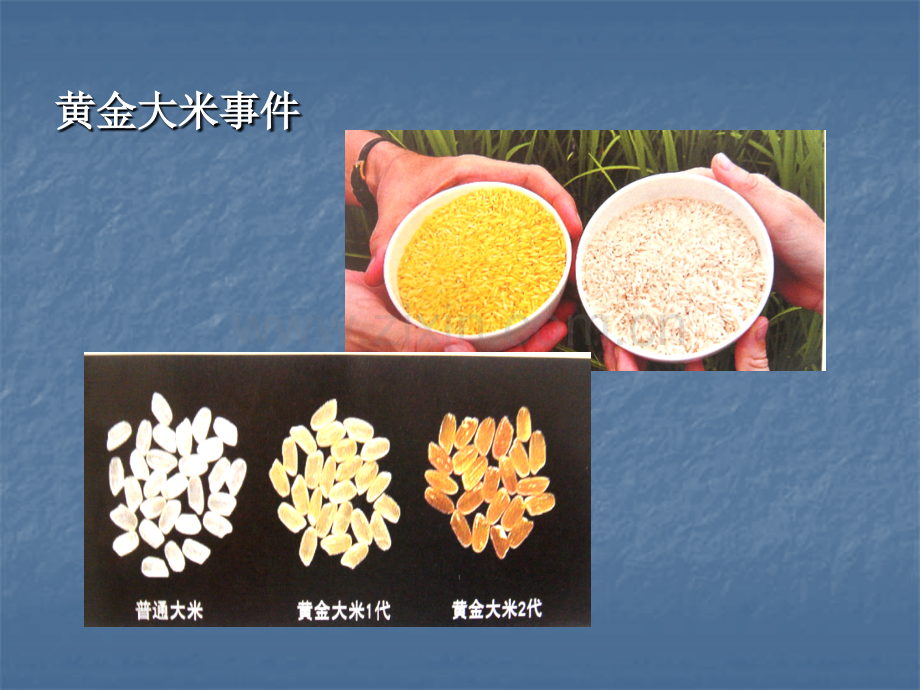 初中科学疑难研训在科学统一性视野下提升生物学思想.pptx_第2页