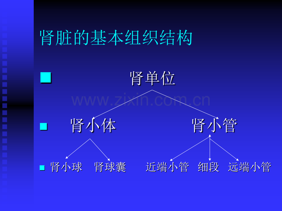 慢性肾衰竭200312.pptx_第2页