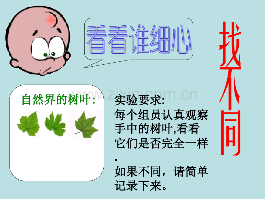 初中综合实践活动人生命独特性.pptx_第2页