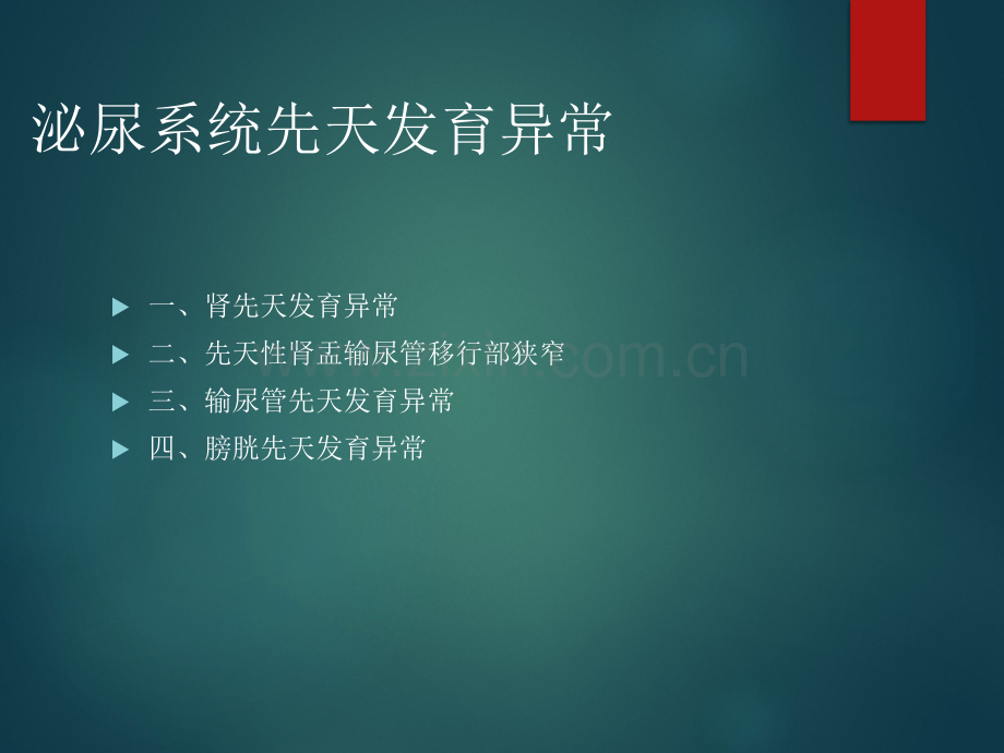 泌尿系统先天发育异常影像表现.pptx_第2页